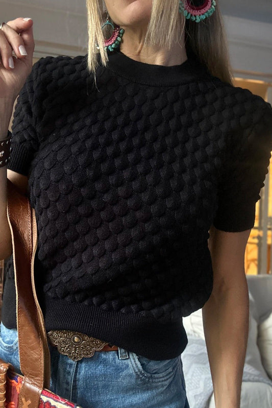Black Fish Scale Textured Knit Ribbed High Neck Short Sleeve Sweater