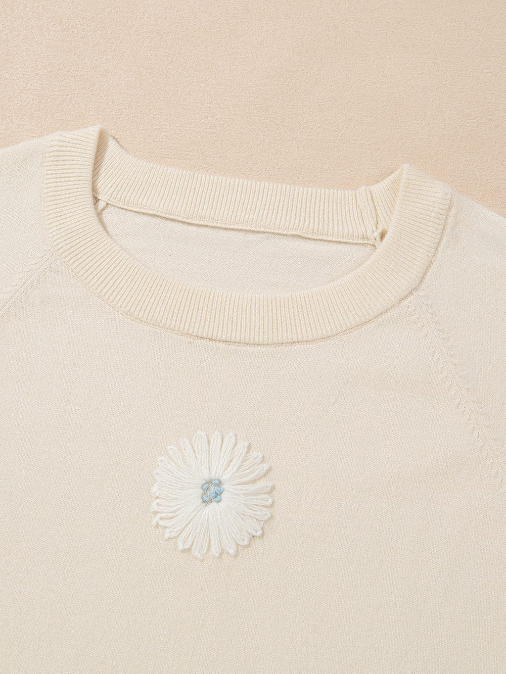 Beige Floral Embroidered Short Sleeve Knit Top