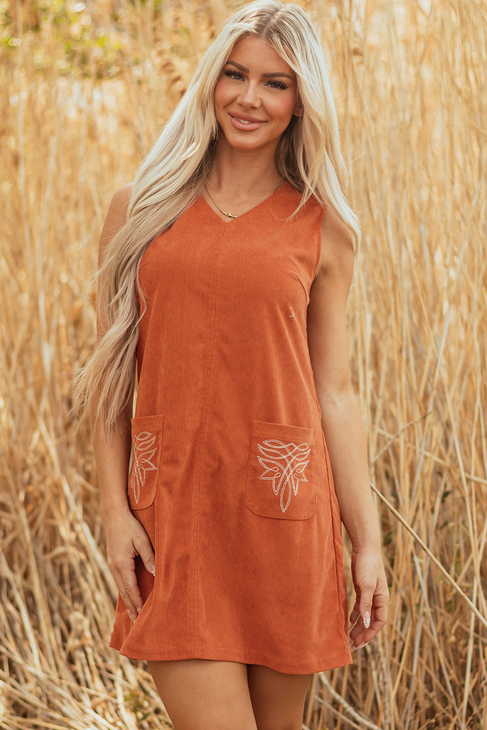 western embroidered mini dress