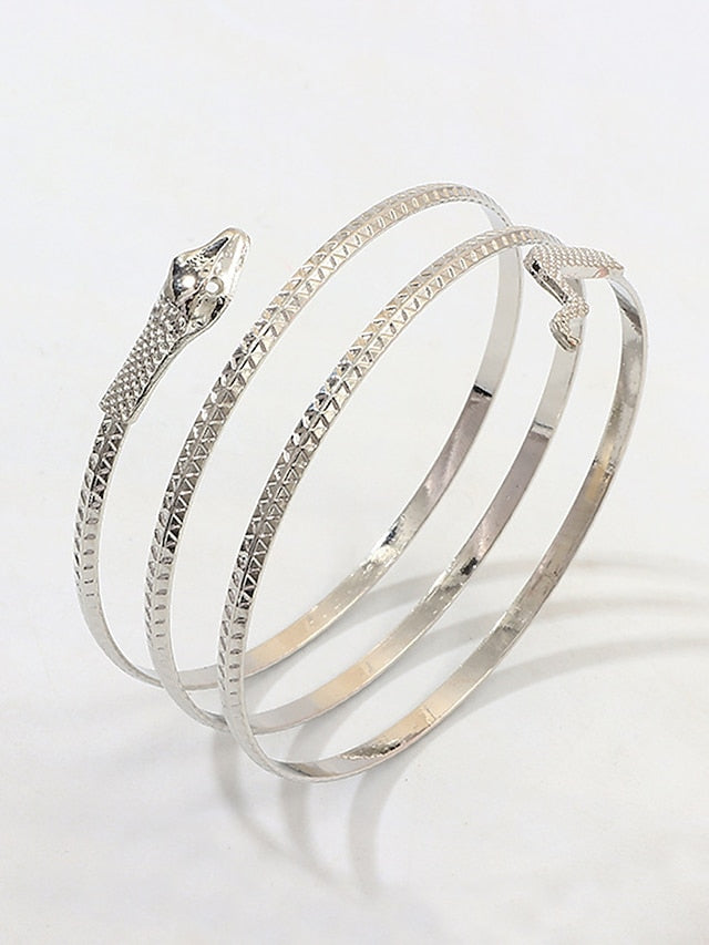 Women's Bangle Fashion Outdoor Snake Bracelets & Bangles - LuckyFash™