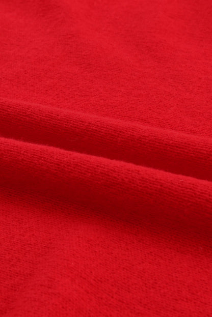 Turtleneck Solid Long Sleeve Knitted Sweater