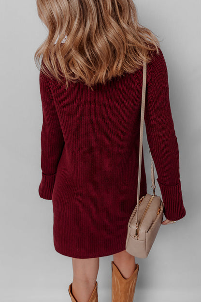 Burgundy Raglan Sleeve Ribbed Knit High Neck Bodycon Sweater Mini Dress