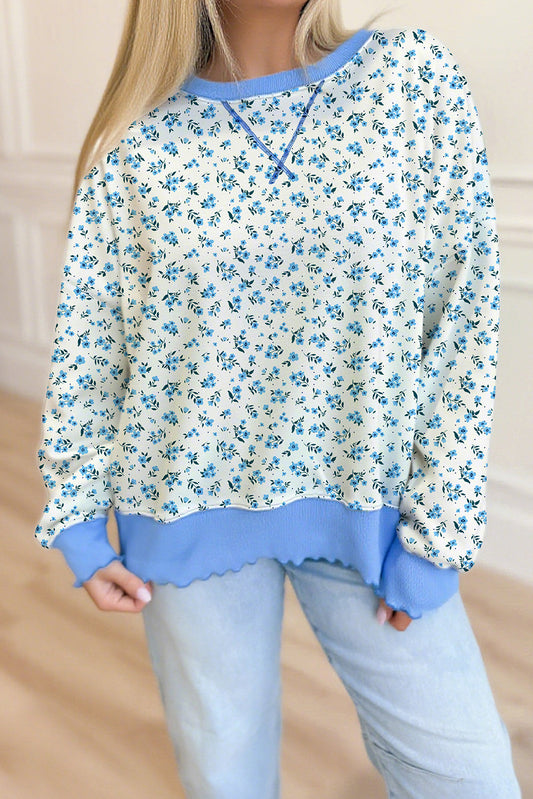Sky Blue Ditsy Floral Print Color Block Trim Drop Shoulder Sweatshirt