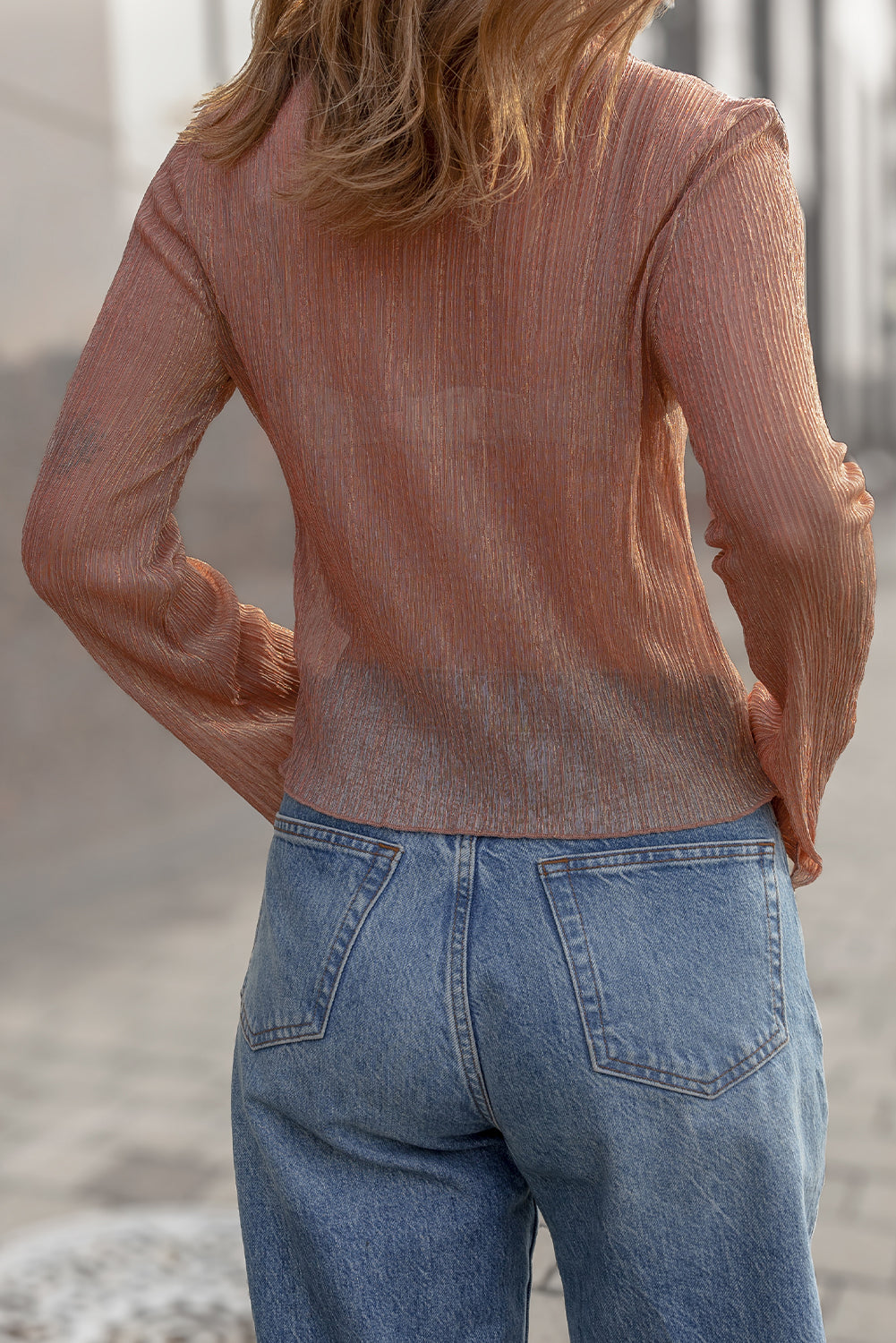 Clay Semi Sheer Textured Mock Neck Long Sleeve Top