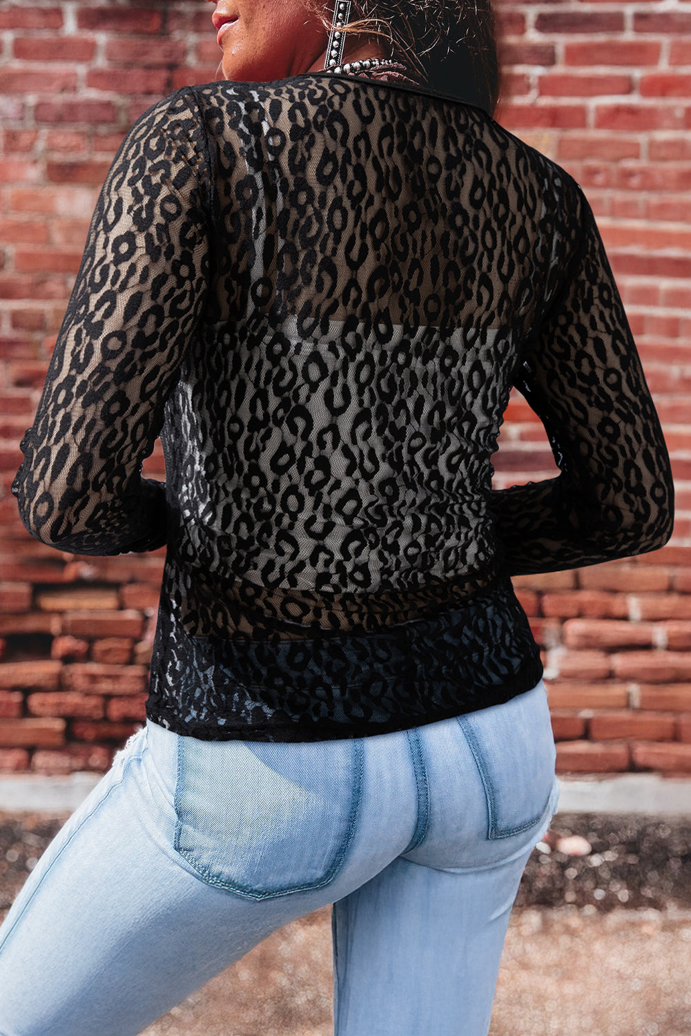Black Leopard Pattern Sheer Mesh Long Sleeve Top