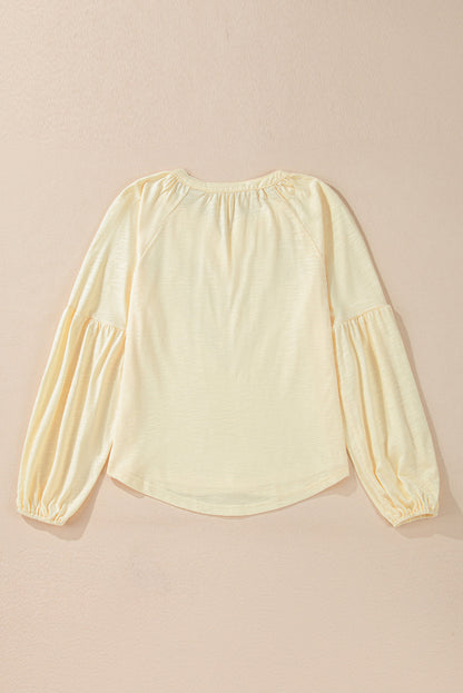 Apricot Paisley Floral Embroidered Notch V Neck Blouse