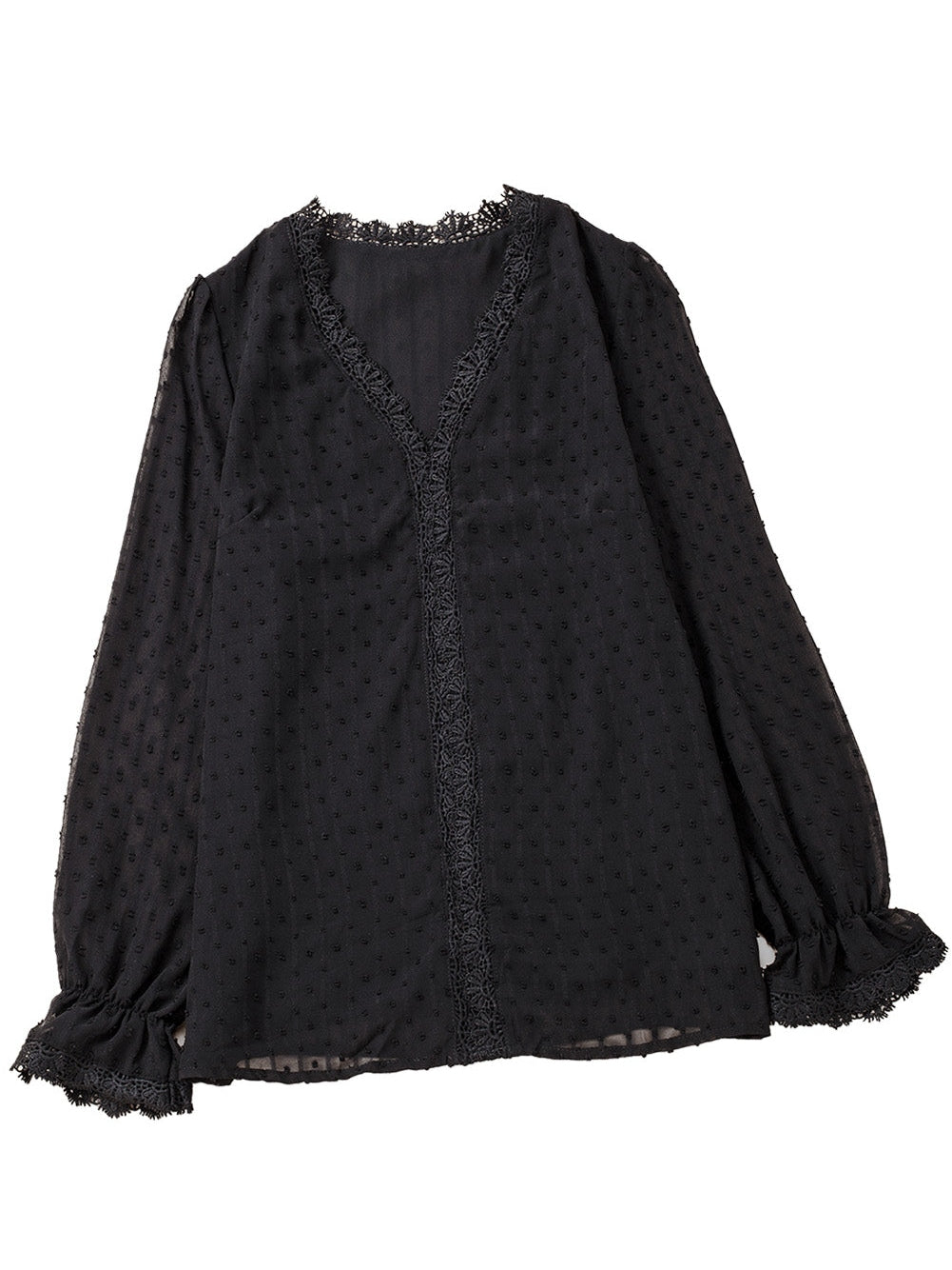 Elegant Swiss Dot Lace Detailed V-Neck Blouse