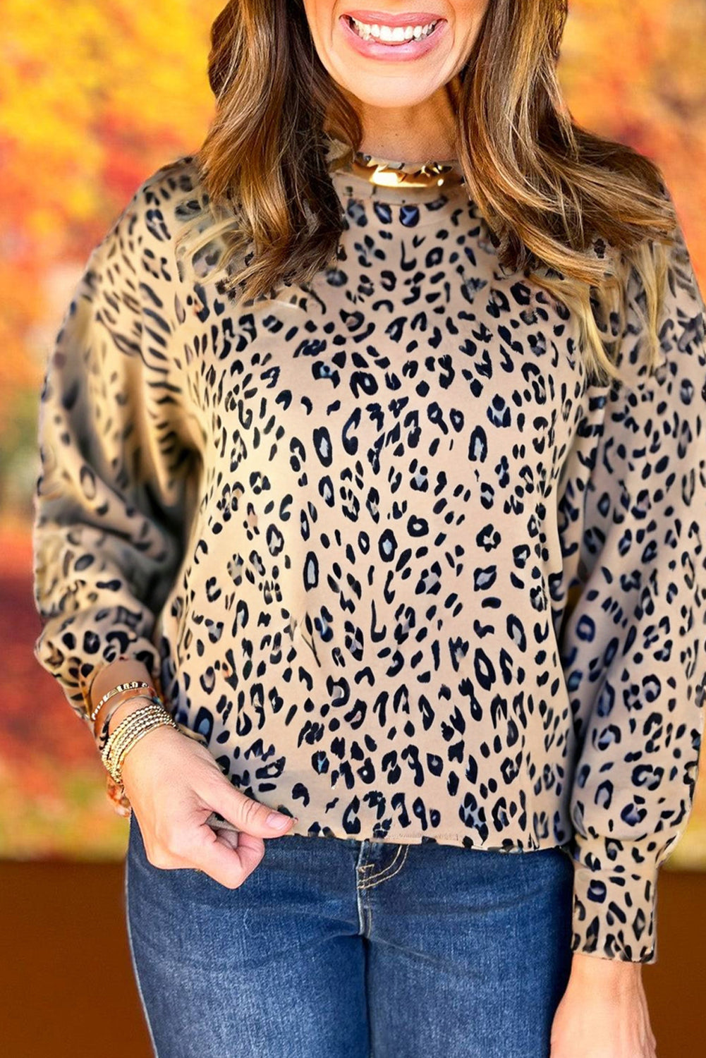 Brown Leopard Lantern Sleeve Round Neck Top