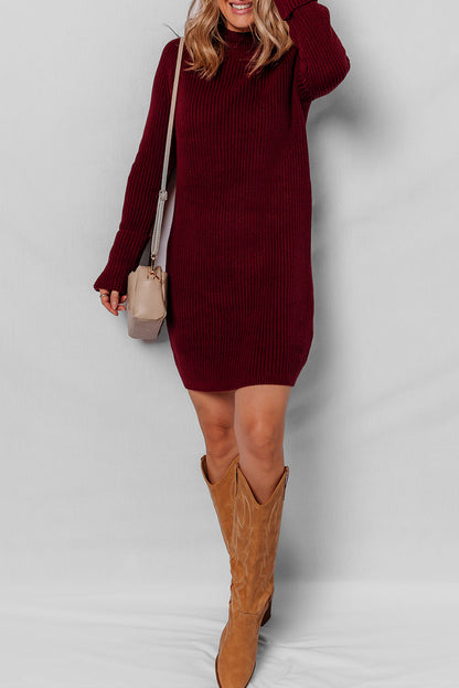Burgundy Raglan Sleeve Ribbed Knit High Neck Bodycon Sweater Mini Dress