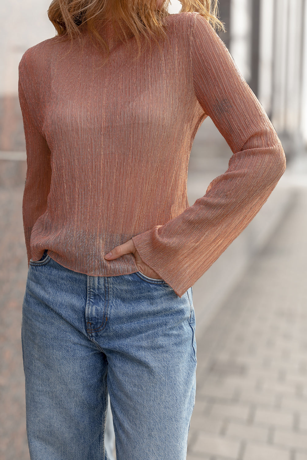 Clay Semi Sheer Textured Mock Neck Long Sleeve Top