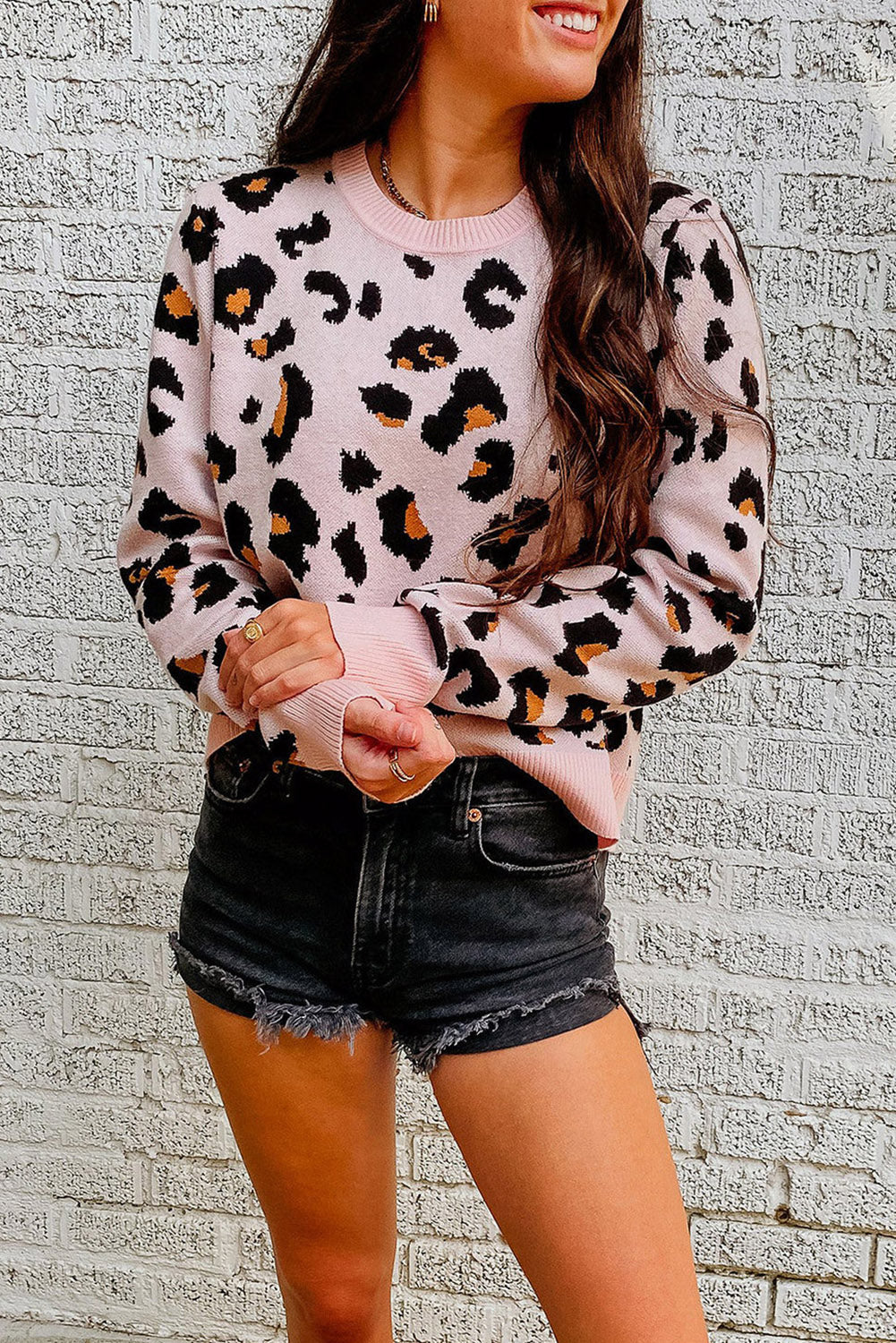 Leopard Ribbed Trim Pullover Sweater