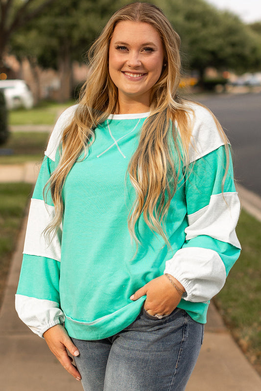 plus sweatshirt