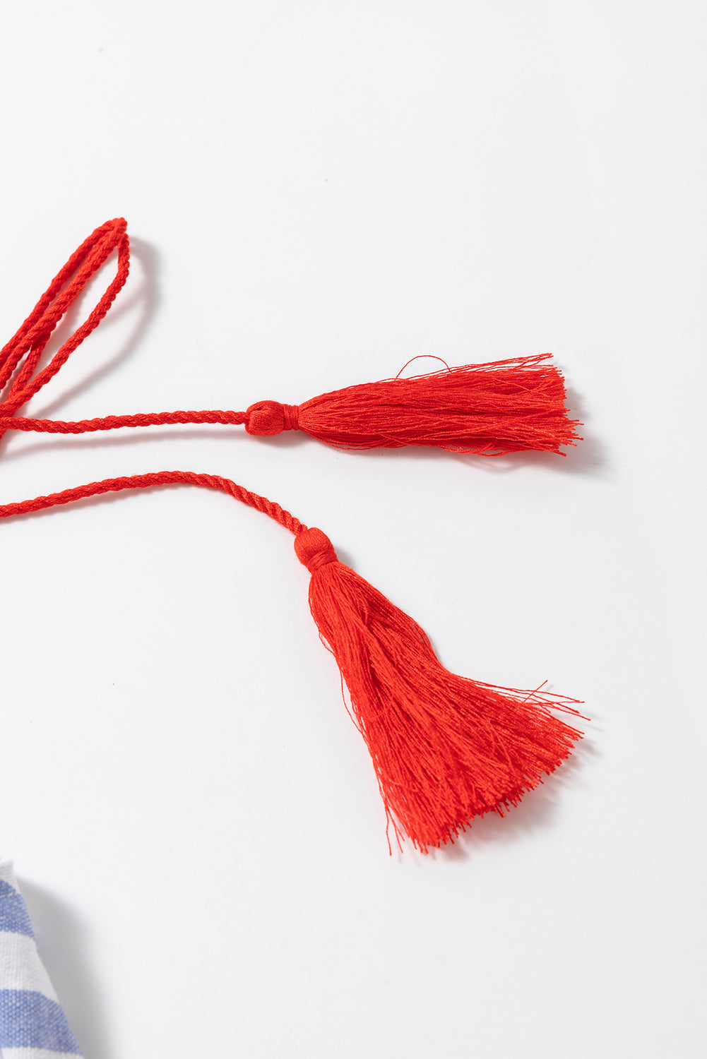 Sky Blue Embroidered Tassel Detail Striped Ruffle Sleeve Plus Blouse