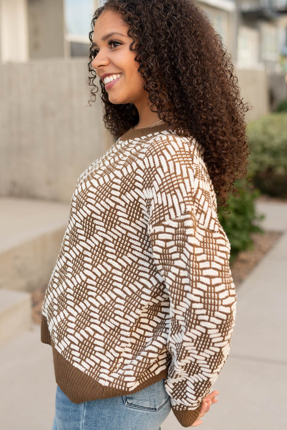 Khaki Patterned Knit Round Neck Sweater