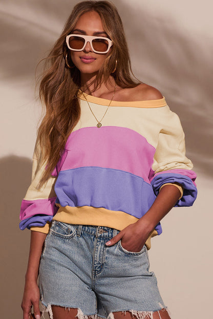 Phalaenopsis Color Block Patchwork Drop Shoulder Cropped Sweatshirt