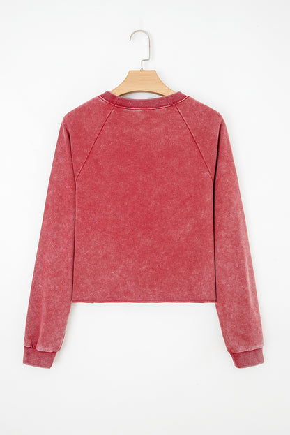 mineral wash sweatshirt