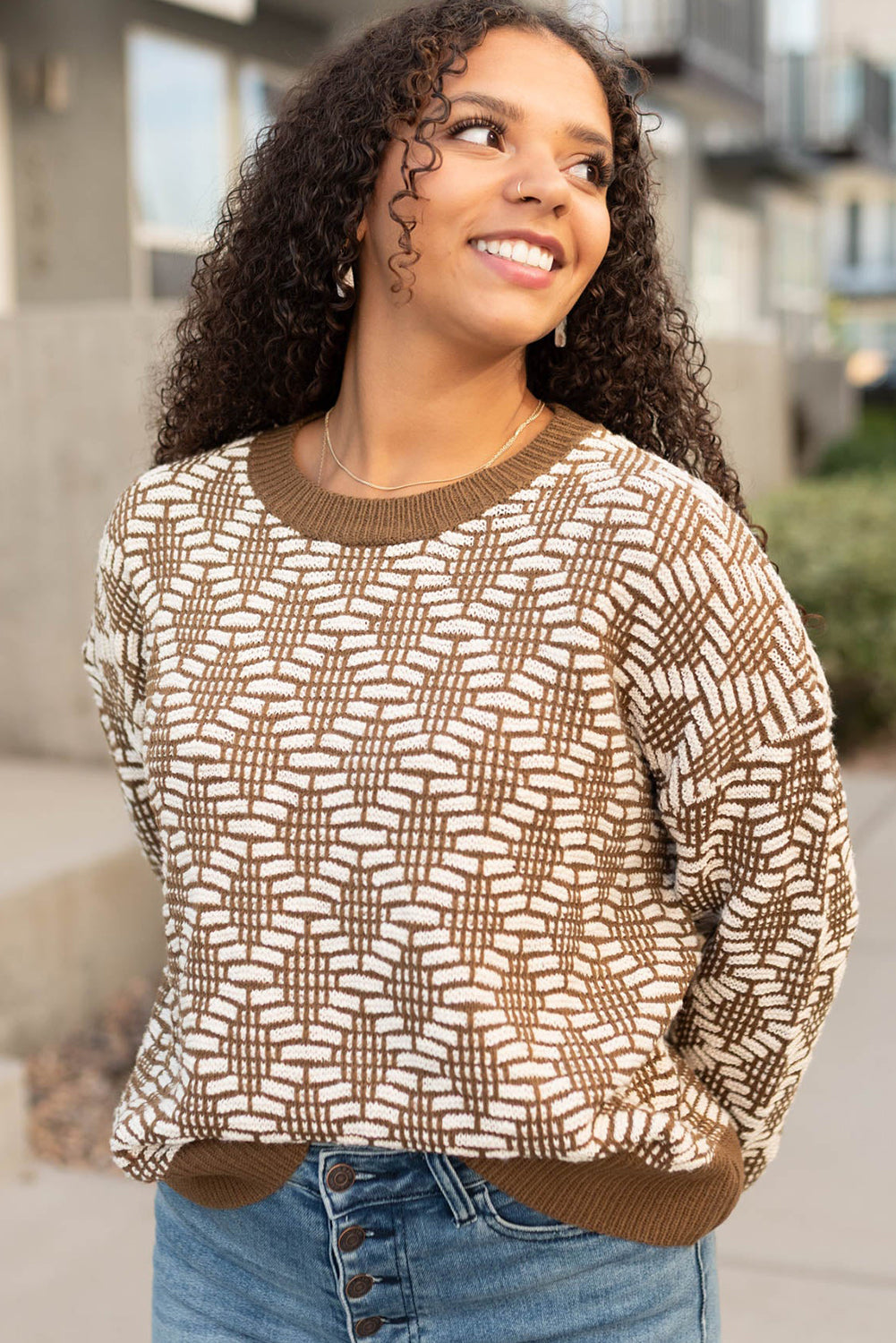 Khaki Patterned Knit Round Neck Sweater