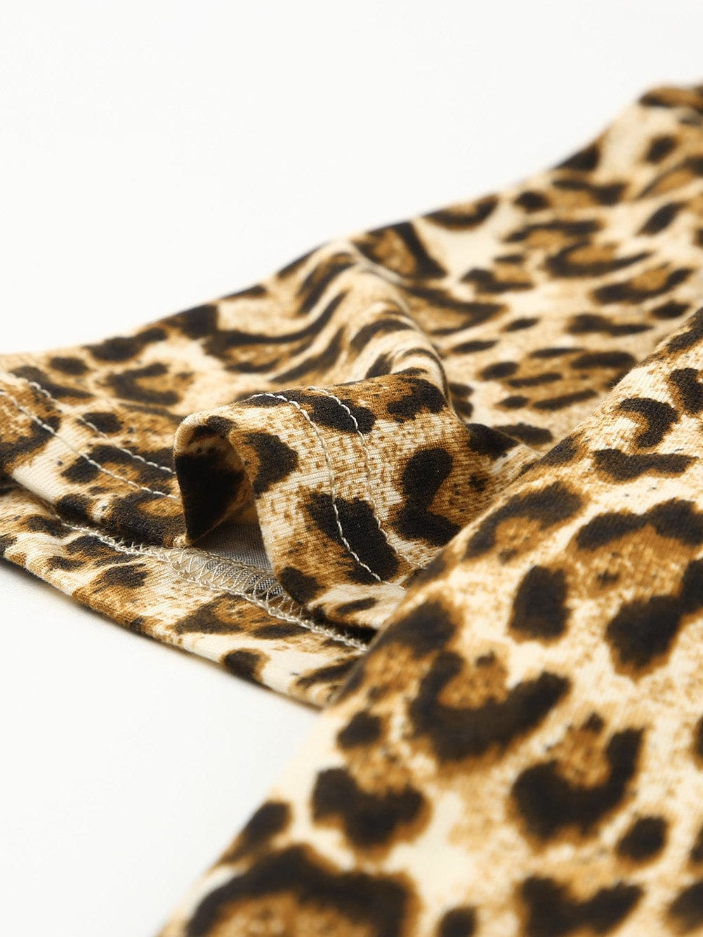 Chic Leopard Print A-line Mini Dress