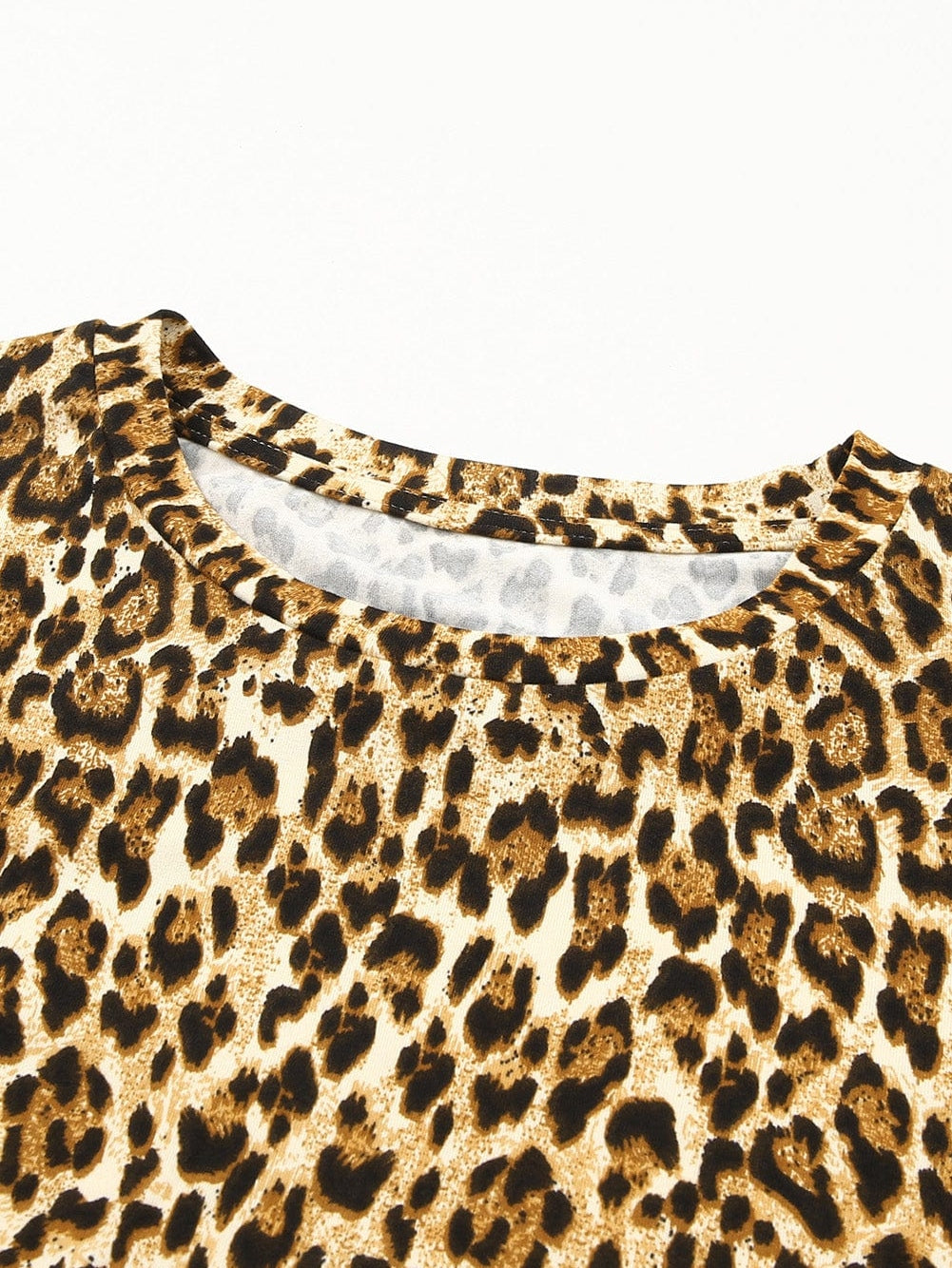 Chic Leopard Print A-line Mini Dress