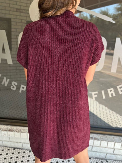Crimson Dahlia Ribbed Knit Short Sleeve Sweater Dress with Patch Pocket