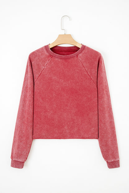 mineral wash sweatshirt