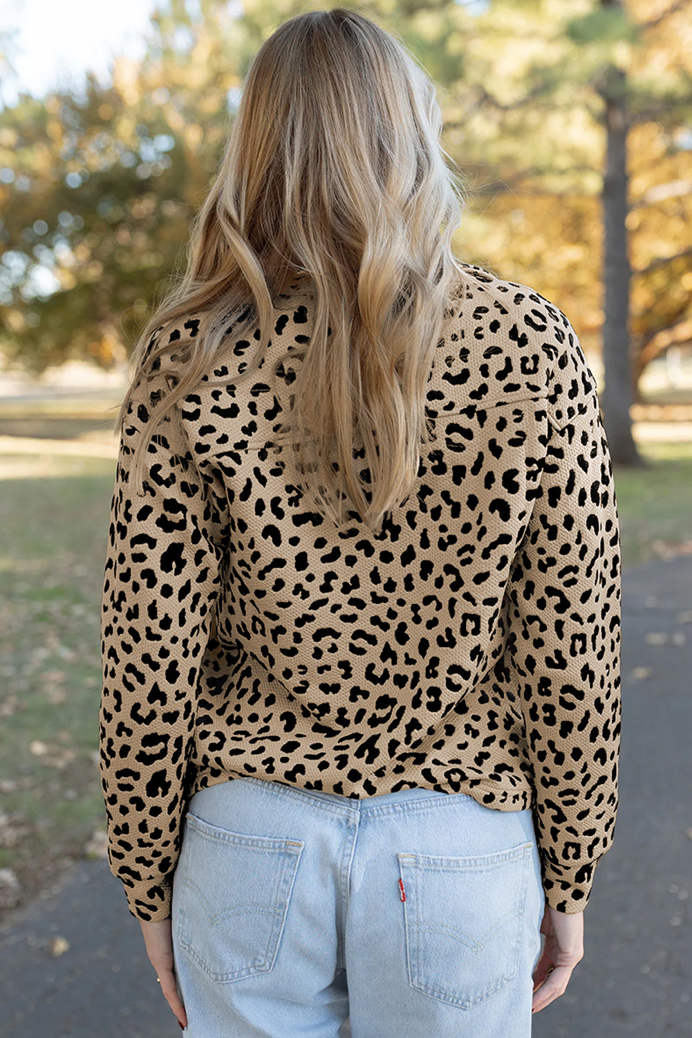 Parchment Leopard Polo Collar V Neck Pullover Top