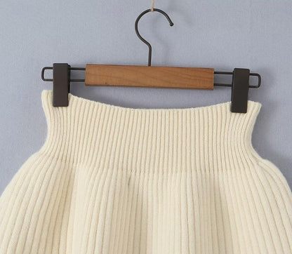 Set with Cropped Turtleneck Sweater Knitted Mini Skirt 2 PCS Sexy Cute Y2K Casual Daily Outfits