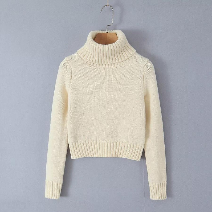 Set with Cropped Turtleneck Sweater Knitted Mini Skirt 2 PCS Sexy Cute Y2K Casual Daily Outfits