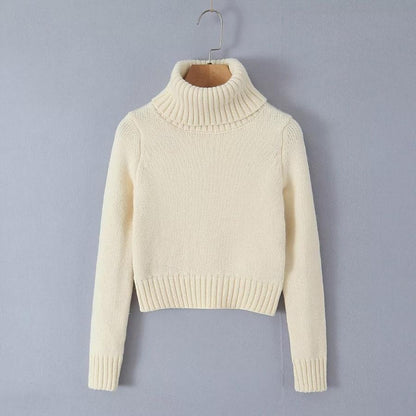 Set with Cropped Turtleneck Sweater Knitted Mini Skirt 2 PCS Sexy Cute Y2K Casual Daily Outfits