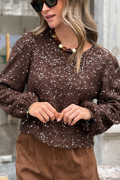 Chicory Coffee Sequin Textured Puff Sleeve Top