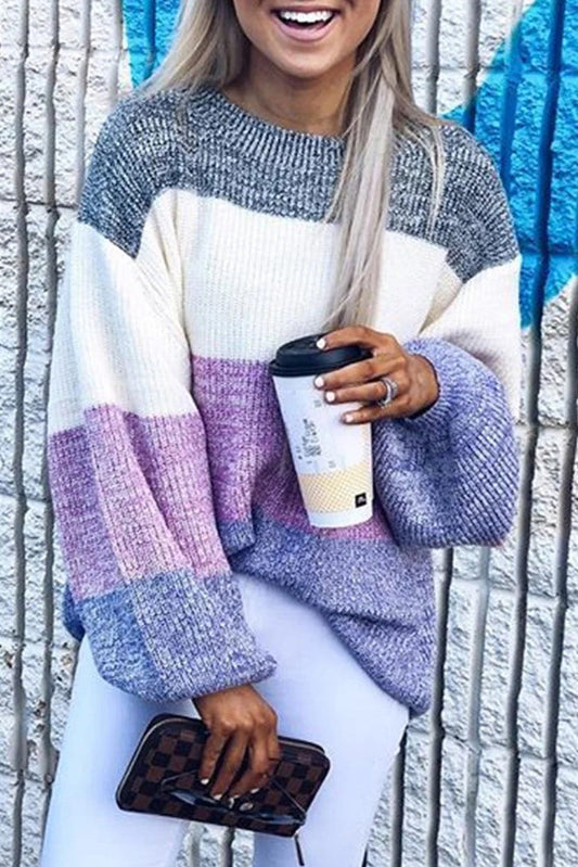Purple Long Sleeve Knitted Round Neck Casual Sweater