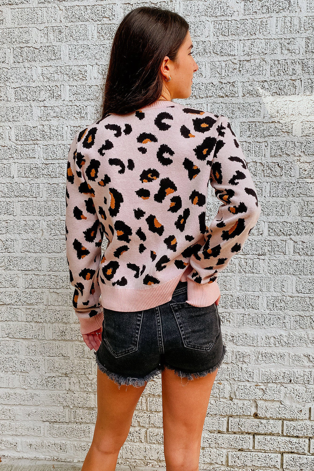 Leopard Ribbed Trim Pullover Sweater