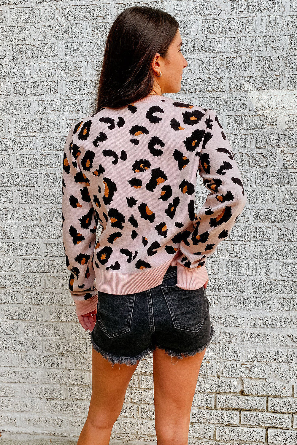 Leopard Ribbed Trim Pullover Sweater