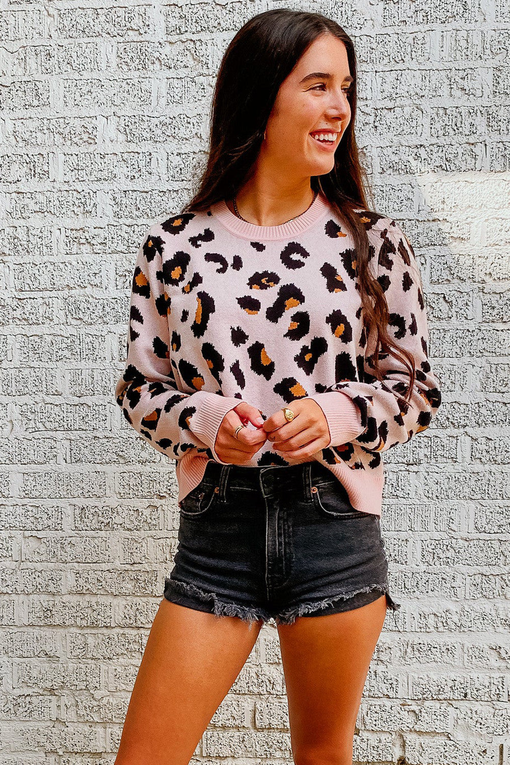 Leopard Ribbed Trim Pullover Sweater