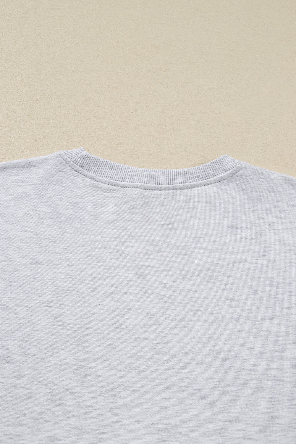 Light Grey Girly Bow Embroidered Puff Sleeve Pullover Loose Shorts Plus 2pcs Outfit