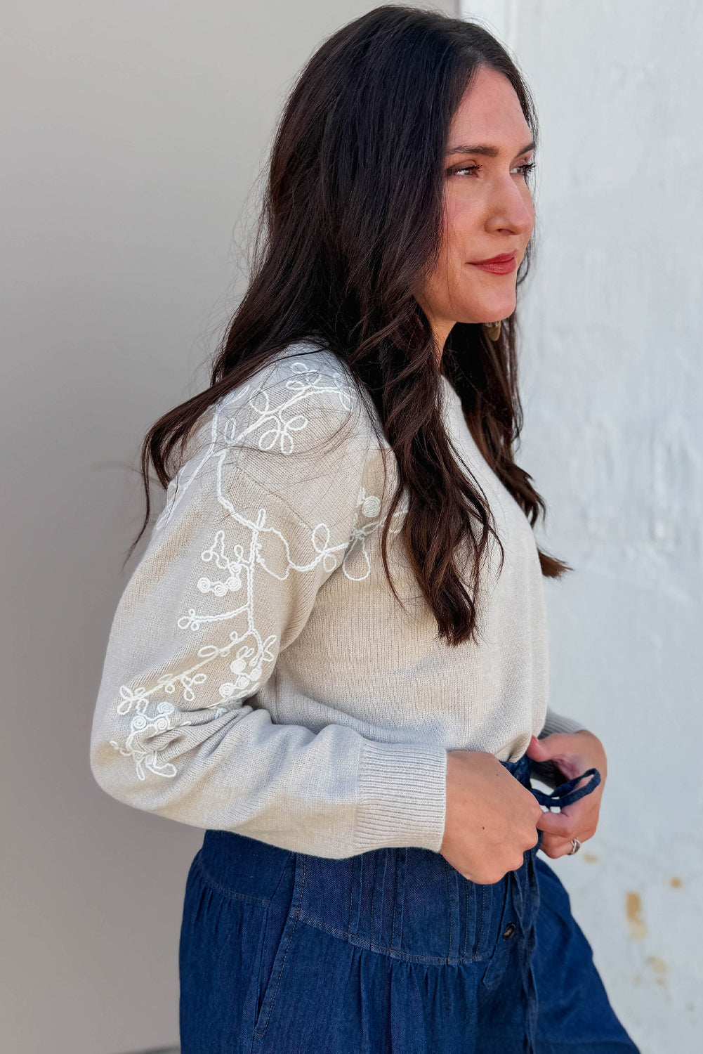 Simply Taupe Contrast Embroidered Sleeve Ribbed Trim Casual Sweater