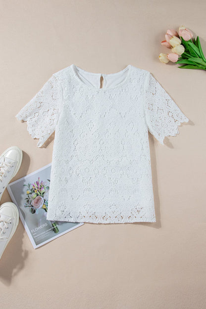 Elegant White Floral Crochet Short Sleeve Top