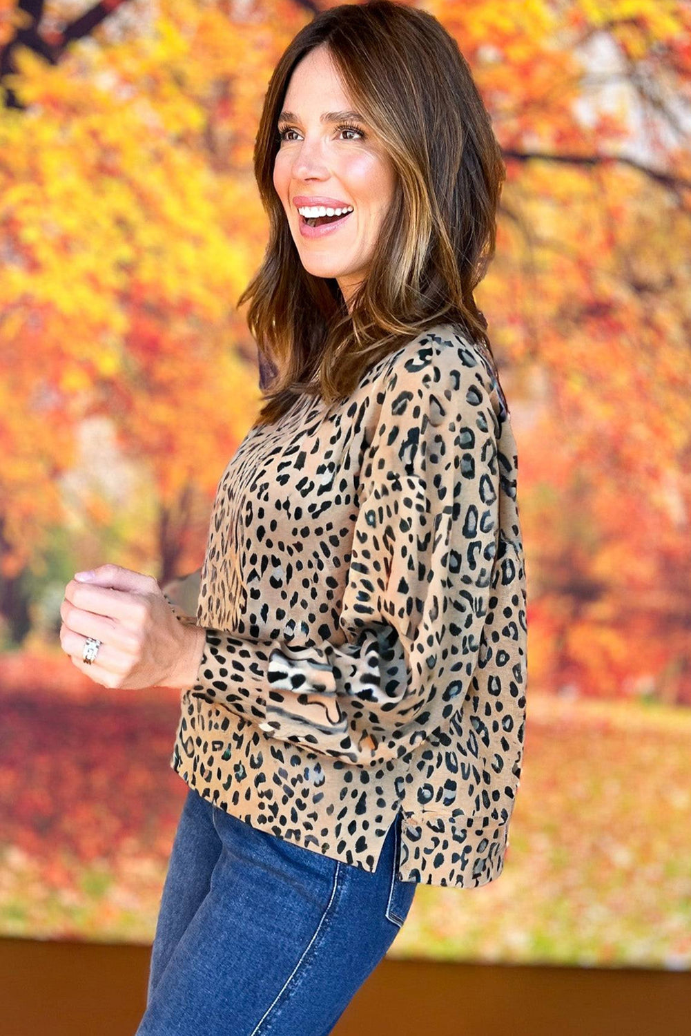 Brown Leopard Lantern Sleeve Round Neck Top