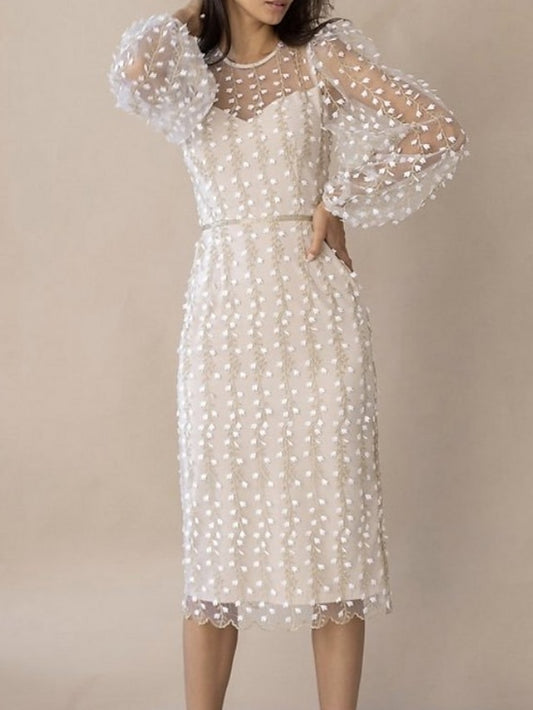 Women's Dress - Party Dress Lace Dress Sheath Dress Knee Length Dress White Long Sleeve Pure Color Lace Winter Fall Spring Crew Neck Elegant Winter Dress Birthday Wedding Guest 2023 S M L XL