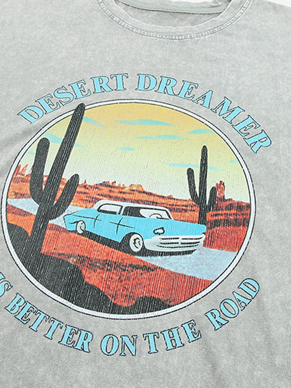 Graphic Desert Dreamer Mineral Wash Western Tee