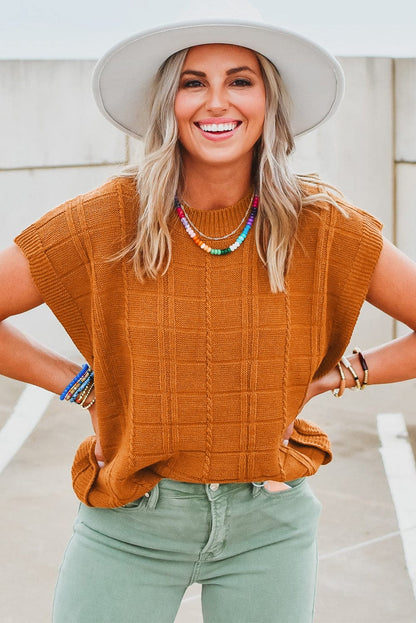 Grid Textured Chestnut V-Neck Short Sleeve Sweater