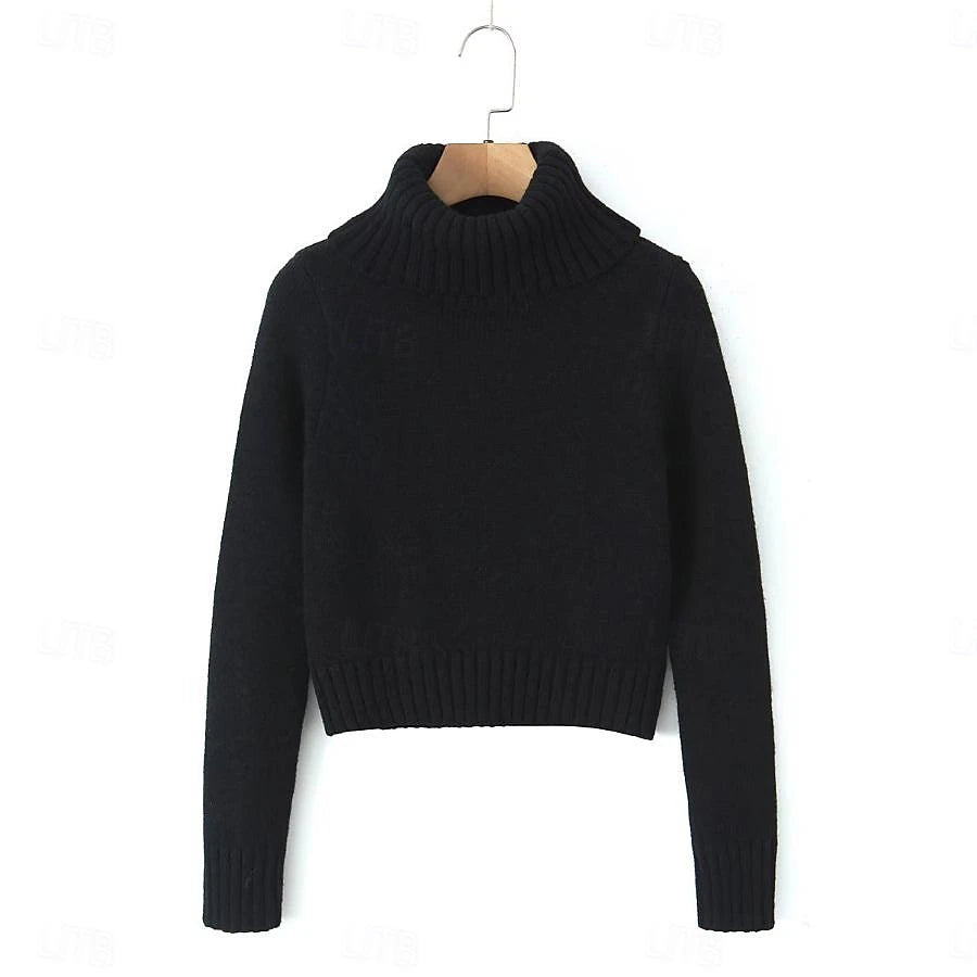 Set with Cropped Turtleneck Sweater Knitted Mini Skirt 2 PCS Sexy Cute Y2K Casual Daily Outfits