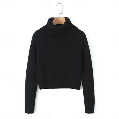 Set with Cropped Turtleneck Sweater Knitted Mini Skirt 2 PCS Sexy Cute Y2K Casual Daily Outfits