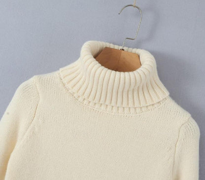 Set with Cropped Turtleneck Sweater Knitted Mini Skirt 2 PCS Sexy Cute Y2K Casual Daily Outfits