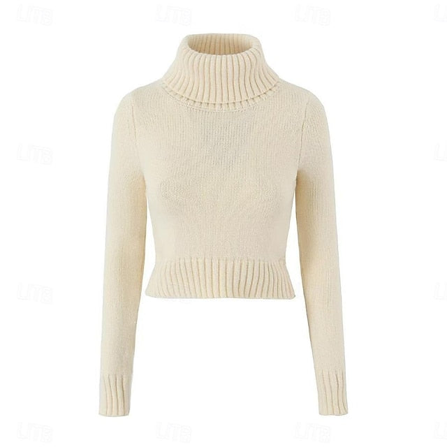 Set with Cropped Turtleneck Sweater Knitted Mini Skirt 2 PCS Sexy Cute Y2K Casual Daily Outfits