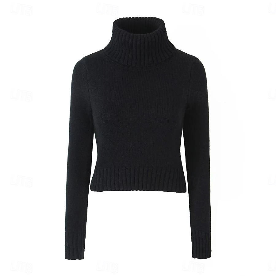 Set with Cropped Turtleneck Sweater Knitted Mini Skirt 2 PCS Sexy Cute Y2K Casual Daily Outfits