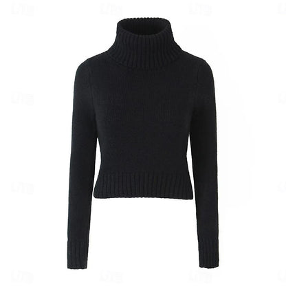 Set with Cropped Turtleneck Sweater Knitted Mini Skirt 2 PCS Sexy Cute Y2K Casual Daily Outfits