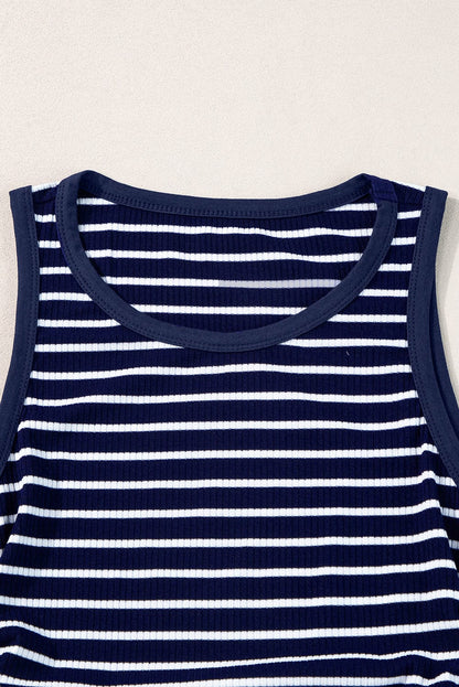 Slim Fit Blue Striped Sleeveless Round Neck Top with Contrast Details