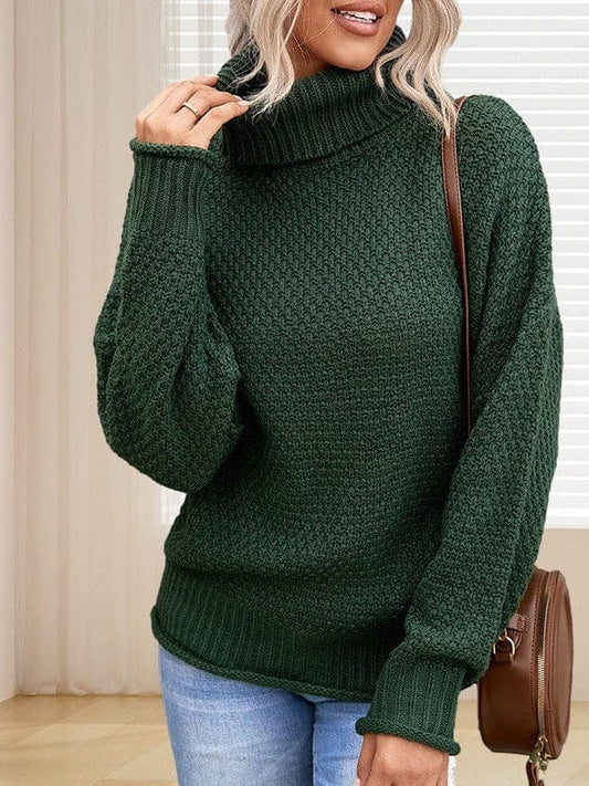 Thick Thread High Neck Bat Sleeve Knit Sweater