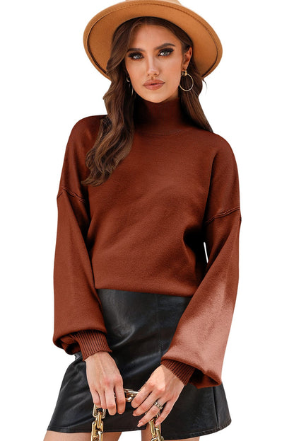 Turtleneck Solid Pullover Long Sleeve Sweater